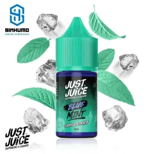 Aroma Blue Mint 30ml by Just Juice