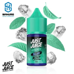 Aroma Blue Mint 6ml Minilongfill by Just Juice