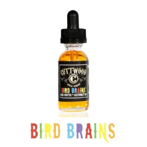 Bird Brains