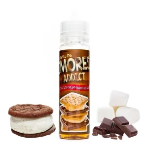 Classic Chocolate Chip and Graham Crackers Smore - Smores Addict