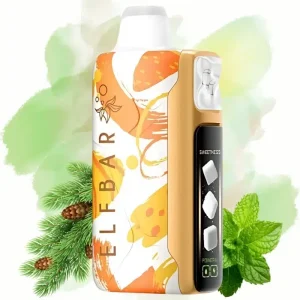 Elfbar Sweet King 30000 Pine Needle Mint