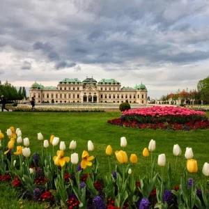 eSIM en Viena