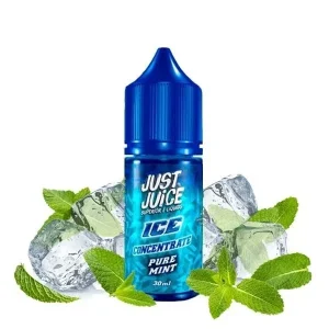 Liquido Just Juice Salt Nic Pure Mint 30ml