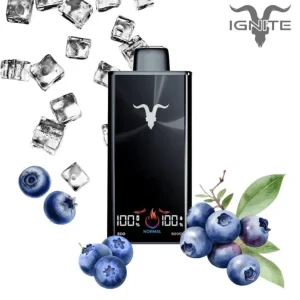 Pod descartable Ignite V300 30000 puffs Blueberry Ice