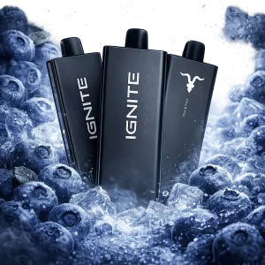 Pod descartable Ignite V55 Ultra Thin 5500 Puffs Blueberry Ice