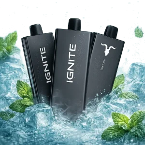 Pod descartable Ignite V55 Ultra Thin 5500 Puffs Miami Mint