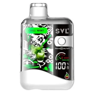 Pod Descartable SVL BX12000 12000 Puffs Chill Mint