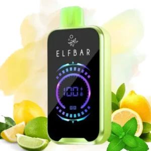 Vaper Elf Bar FS18000 Lemon Mint