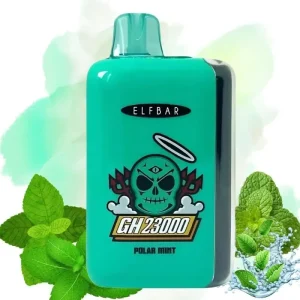 Vaper Elfbar GH23000 Polar Mint